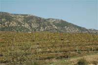 DRATM sopra 120 velas