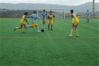 Jogo colectivo