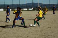 A vingança