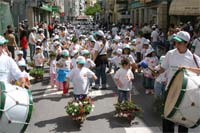 Jardins ambulantes
