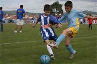 Crescer Jogando