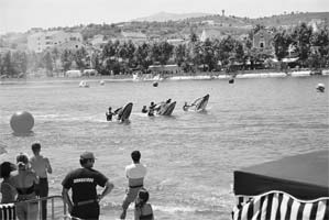 Jet Ski nas águas do Tua