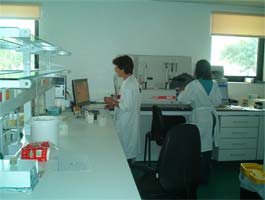 Bragança reforça Obstetrícia