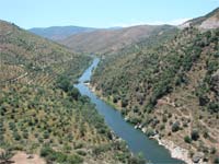 Barragem inunda terrenos agrícolas