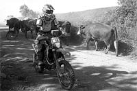 Transportugal despede-se de Trás-os-Montes