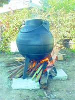 Pote gigante serve javali