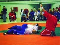 Mirandela acolhe Mundial de Pankration