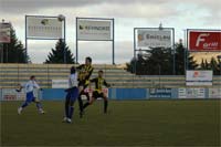 Canarinhos à beira da subida