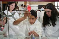 Escola Abade de Baçal é a melhor a Química