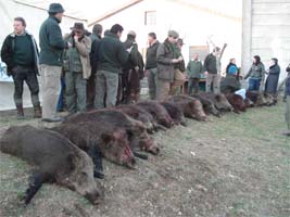 Caça ao som da natureza