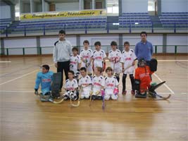 Hóquei em Patins