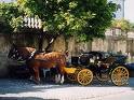 Centro histórico de Bragança e albufeira do Azibo recebem charretes no Verão