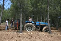 Vilar de Lomba aposta nos cogumelos