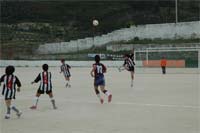 Mirandela acredita