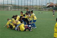 Os campeões de palmo e meio