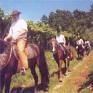 Peregrinação a cavalo da Associação Equestre de Bragança termina amanhã