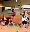 Miranda acolhe estágio de selecção nacional de voleibol