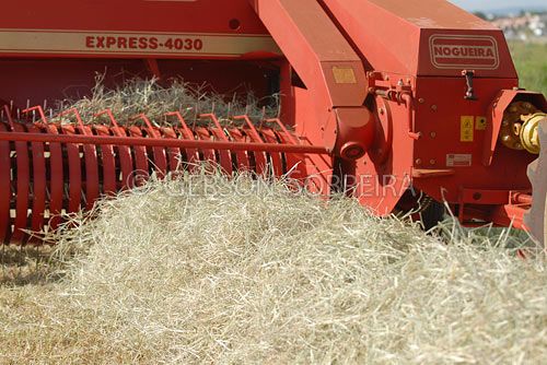 Enfardadeira agrícola faz vítima mortal