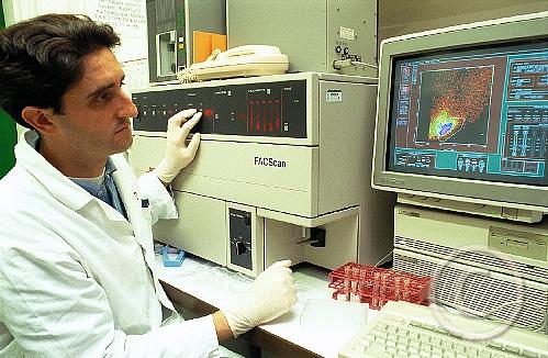 Melhores cientistas do mundo vão estar em Bragança