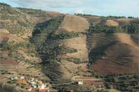Castanheiro: perfeita sintonia com o Tua