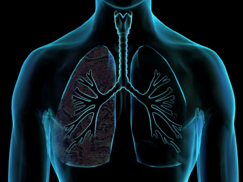 Doenças pulmonares com diagnóstico facilitado em Bragança