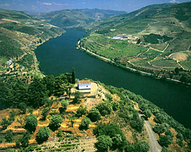 37 milhões de euros para investir no Vale do Douro