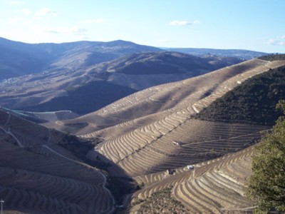 Turismo no Douro desilude