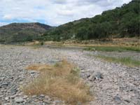 A barragem e a agricultura no Baixo Sabor