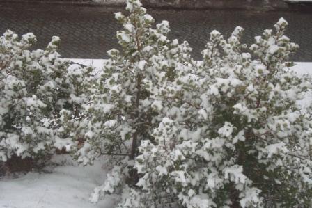 Mais uma semana de frio e neve