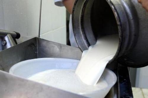 Produtores de leite do planalto em aflição