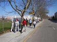 Bragançanos rendidos às caminhadas