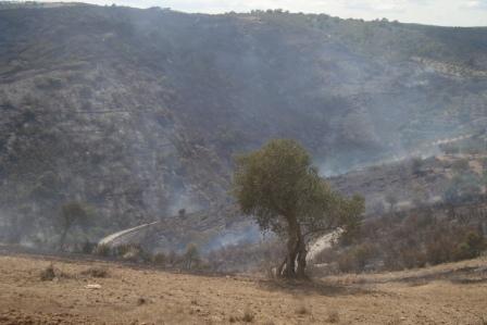 Maior incêndio dos últimos anos já em rescaldo