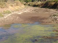 Braço de ferro em Vimioso