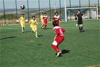 Os “Galos” também se abatem