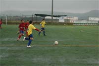 Ganhou a amizade em campo