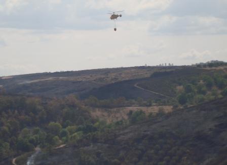 Autoridades registaram mais incêndios criminosos este ano