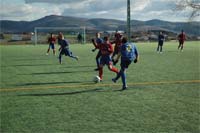 Equilíbrio em campo