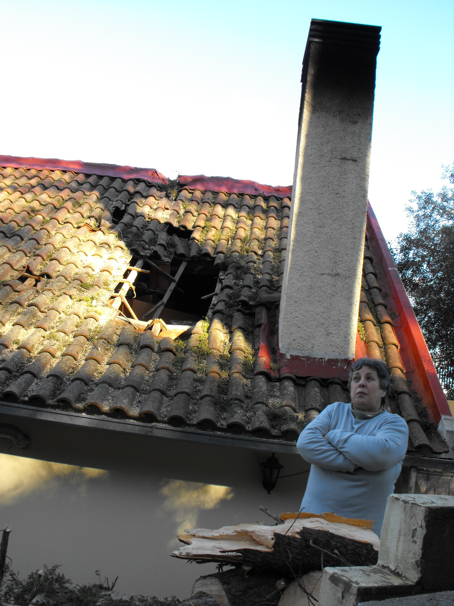 Telhado destruído em queda de árvores