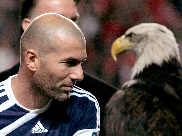 Benfica é maior que os Radiohead