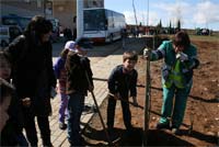 Centenas de árvores plantadas