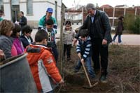 Bragança planta árvore do centenário