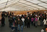 Izeda aposta na certificação