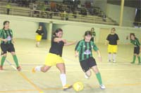 Caçar com gato… quase ia resultando!