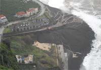 A flor renasce da lama