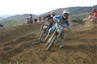 Freixo em alta competição