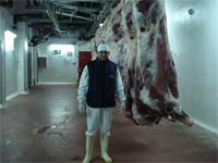 Matadouro intermunicipal vai ficar em Sendim