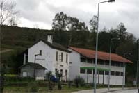 Carvalhais em crescimento