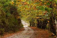 Taxas por tudo e por nada