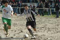 Emoções no pântano