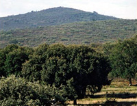 Câmara de Macedo distinguida